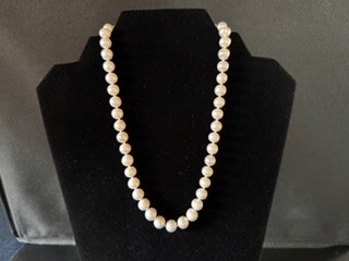 Image of Item 1